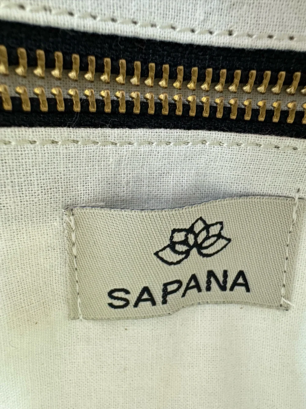 Sapana Dreams Dhurrie Clutch
